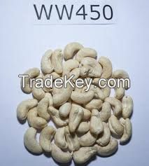 Cashew Nut Kernel - size W450 - origin Vietnam - Best Quality