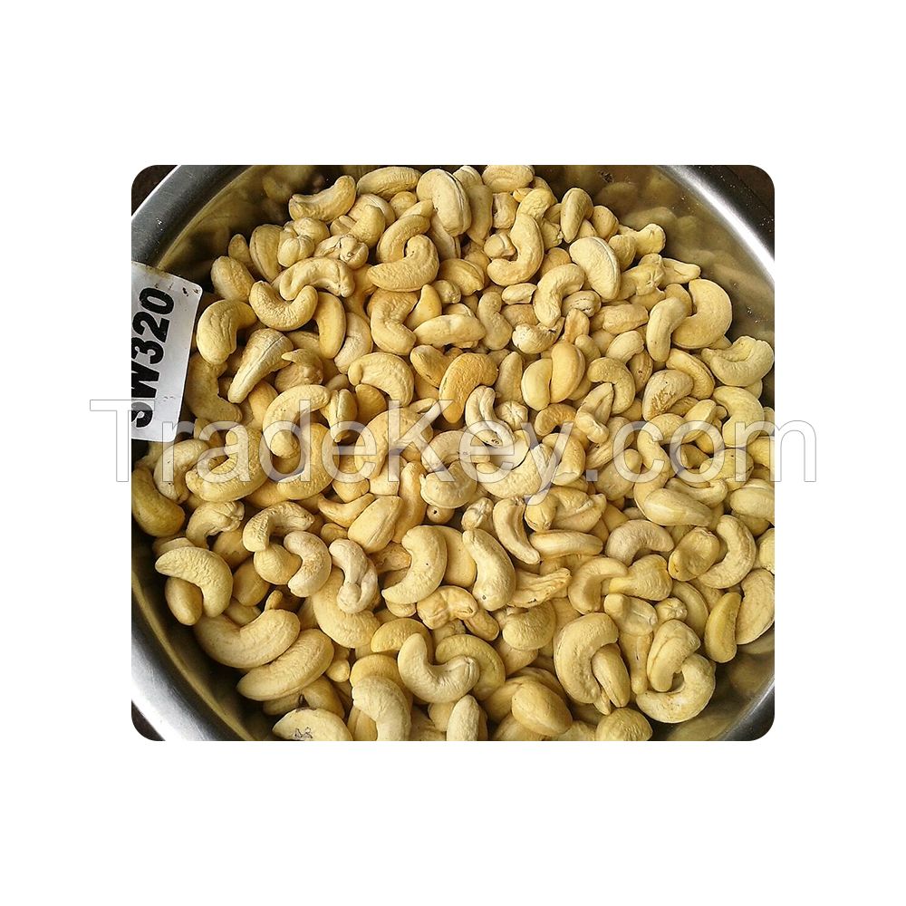 Top Grade Dried Cashew Nut SW 320 at Best Price 