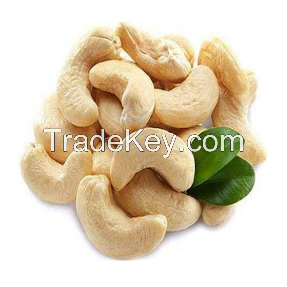 FRESH CASHEW NUT WITH ALL TYPES W320 W180 