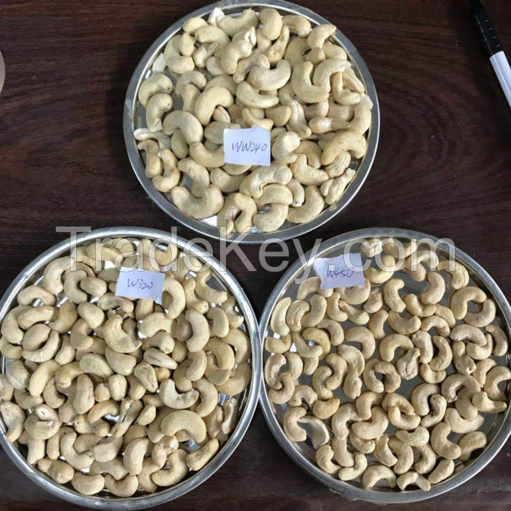 Top Grade Dried Cashew Nut SW 320 at Best Price 