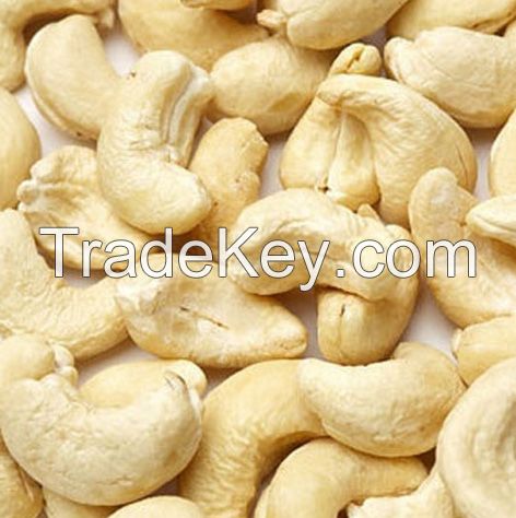 Dried style and raw processing kind VIETNAM CASHEW NUTS IMPORT PRICE 