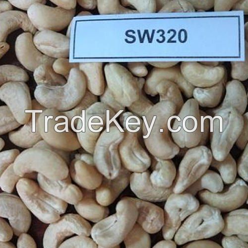 Top Grade Dried Cashew Nut SW 320 at Best Price 