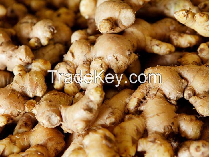 fresh/dried ginger