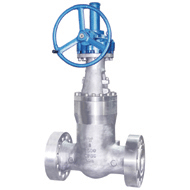 Pressure seal Gate valve 900Lb~2500Lb