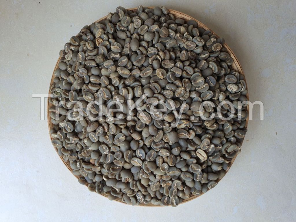 Arabica Coffee Beans - JAVA IJEN