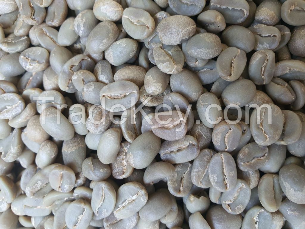 Arabica Coffee Beans - BAJAWA