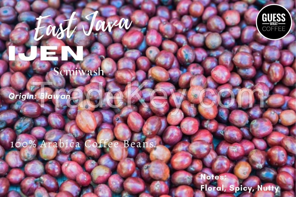 Arabica Coffee Beans - JAVA IJEN