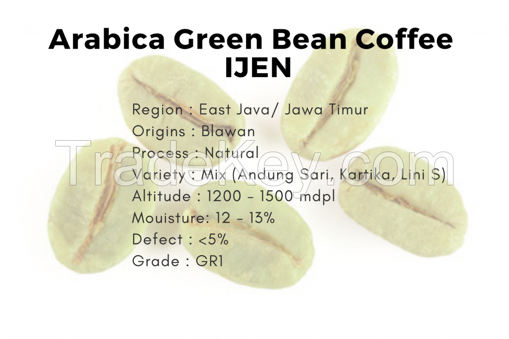 Arabica Coffee Beans - JAVA IJEN (NATURAL PROCESS)