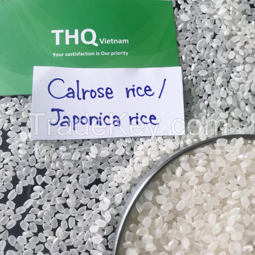 Japonica rice/Calrose rice/ Japanese rice from THQ Vietnam