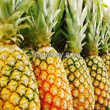 Fresh Pineapple