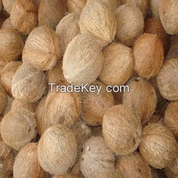 Husked Matured Coconut 