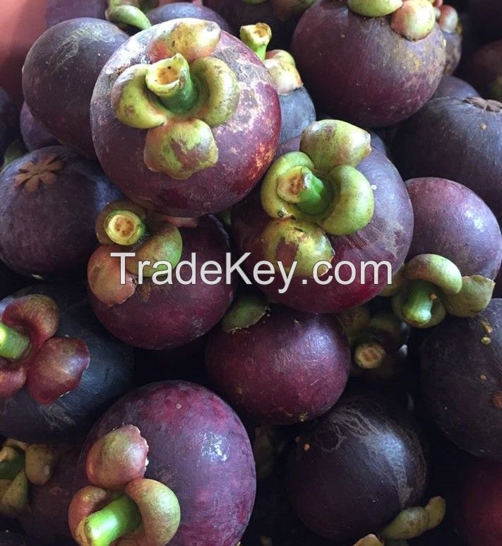 mangosteen fruit 