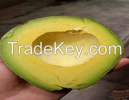 Fresh Avocado