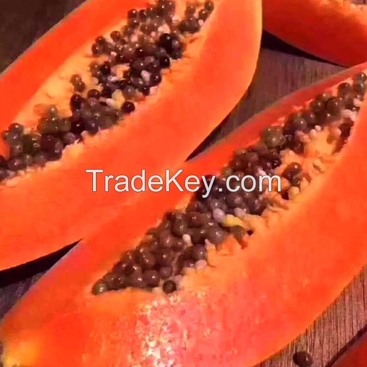 Fresh Papaya  Organic Papaya  For Sale