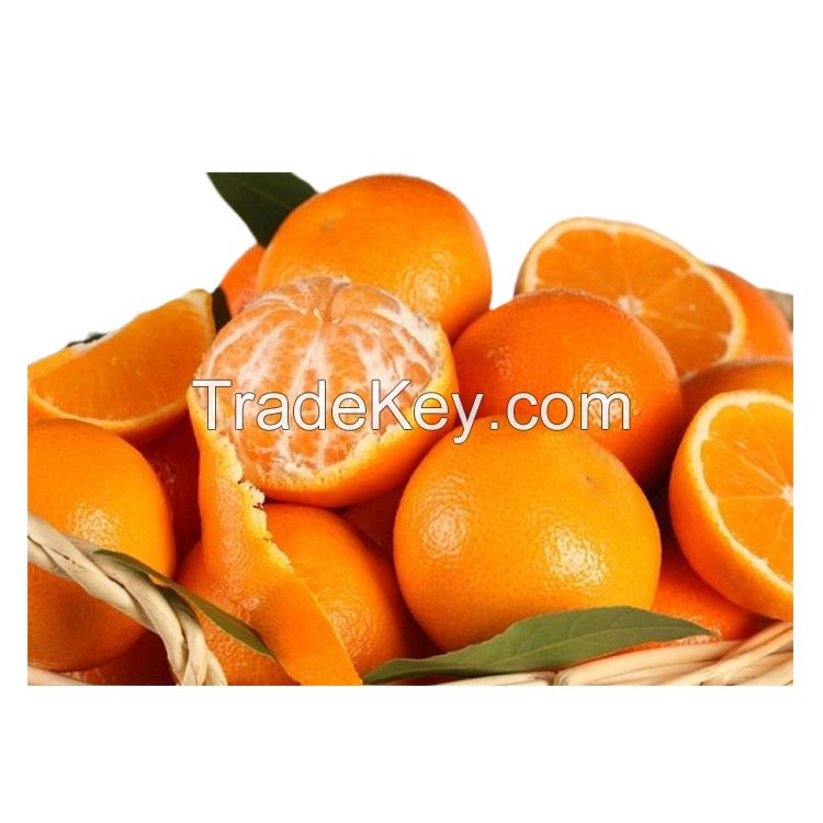 Fresh Oranges