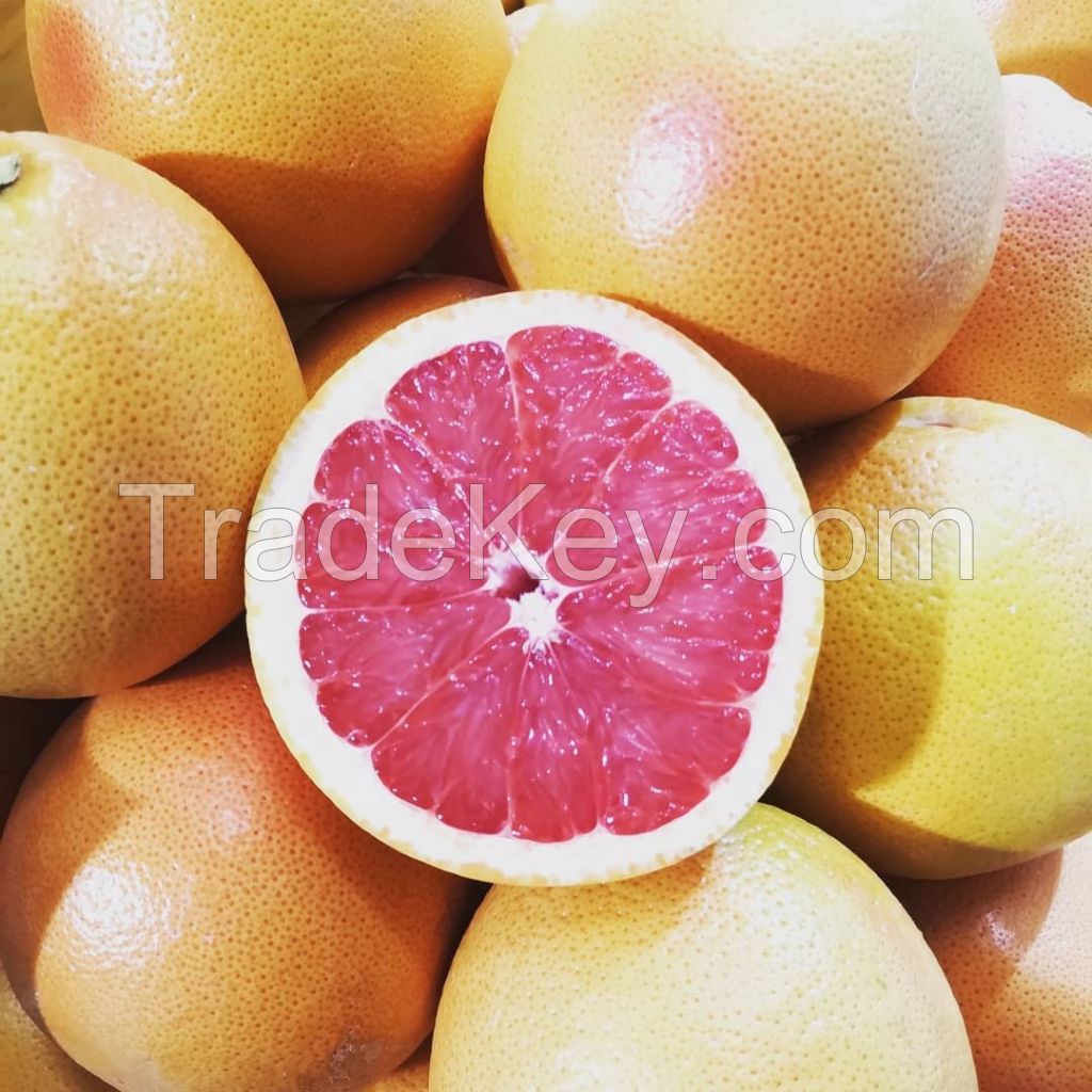 red grapefruit for sale