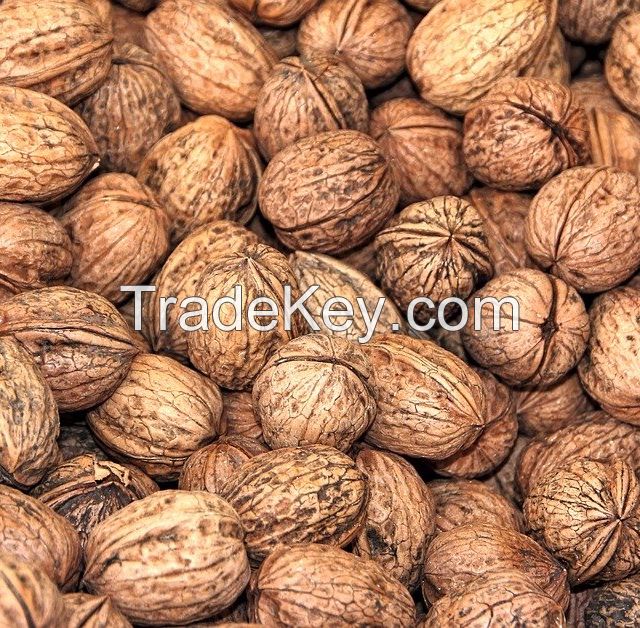 Pecan Nuts