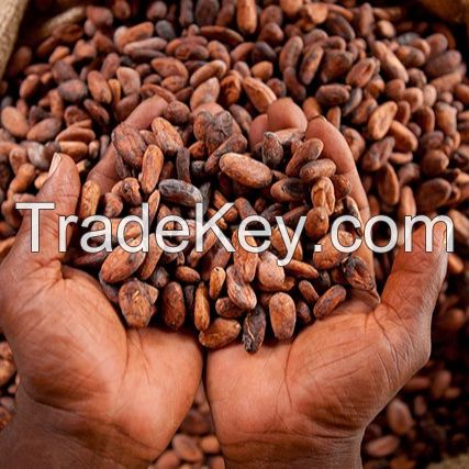 Cocoa Beans