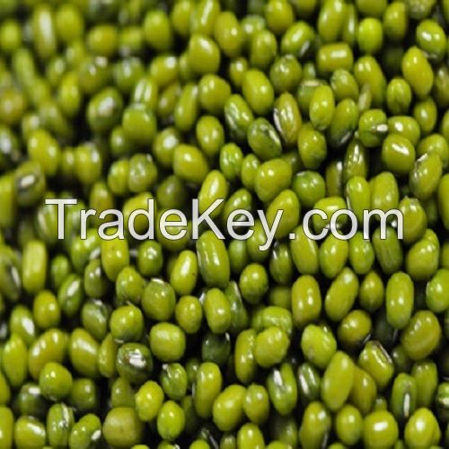 Green Mung Bean