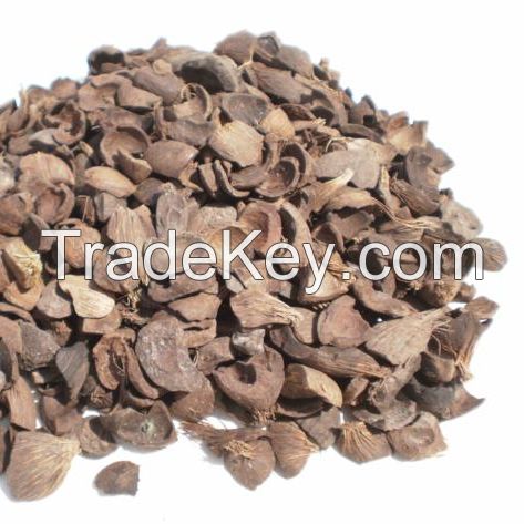 Cheap Palm Kernel Shel