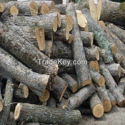 firewood