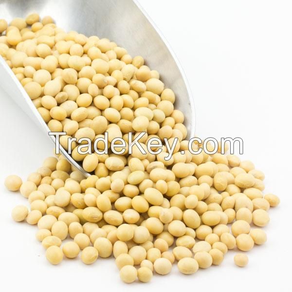 soya bean for oil
