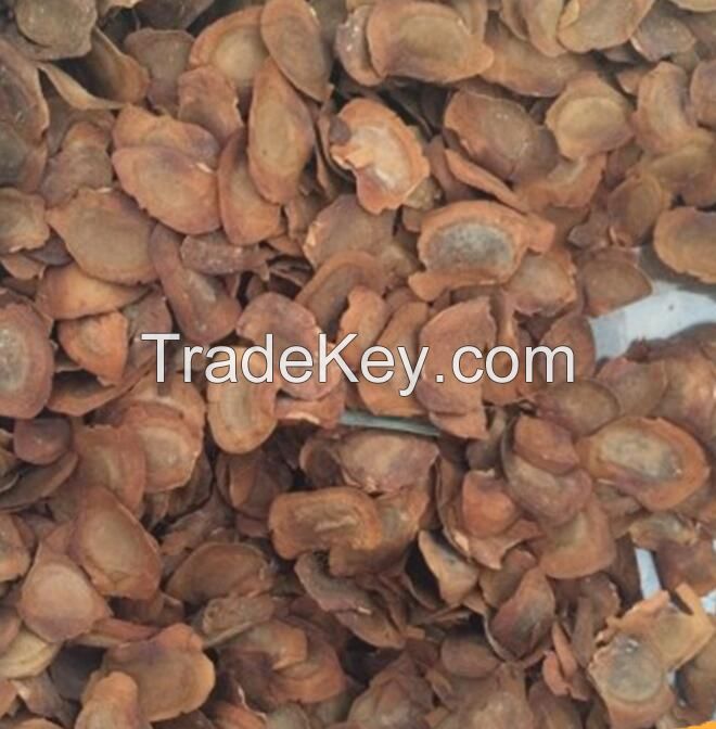 mahogany seeds