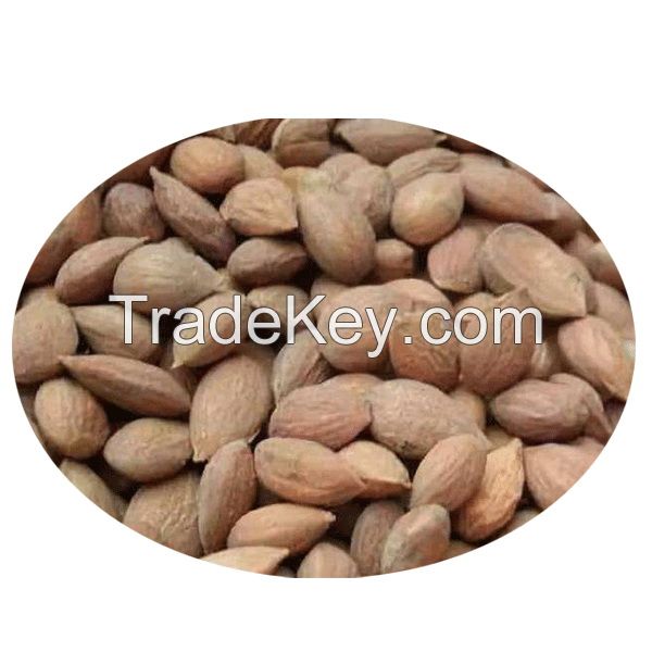 Prunus Dulcis seeds/Almond seeds/tonsil seeds