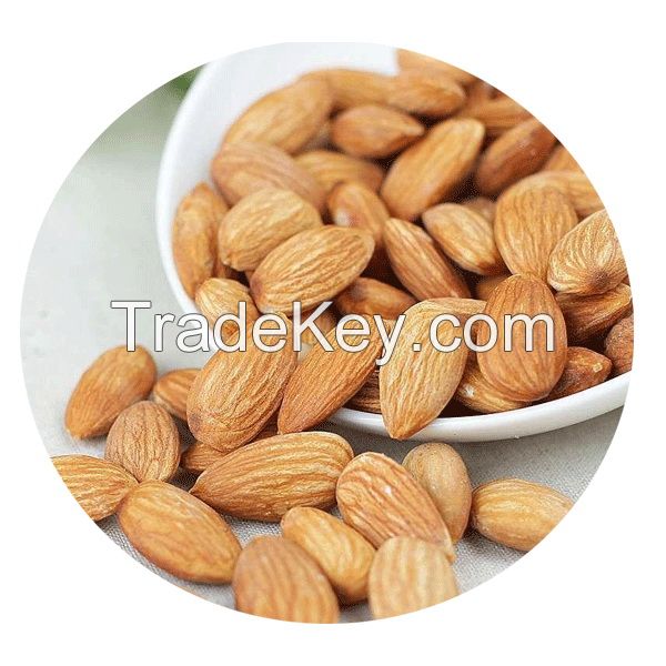 Prunus Dulcis seeds/Almond seeds/tonsil seeds