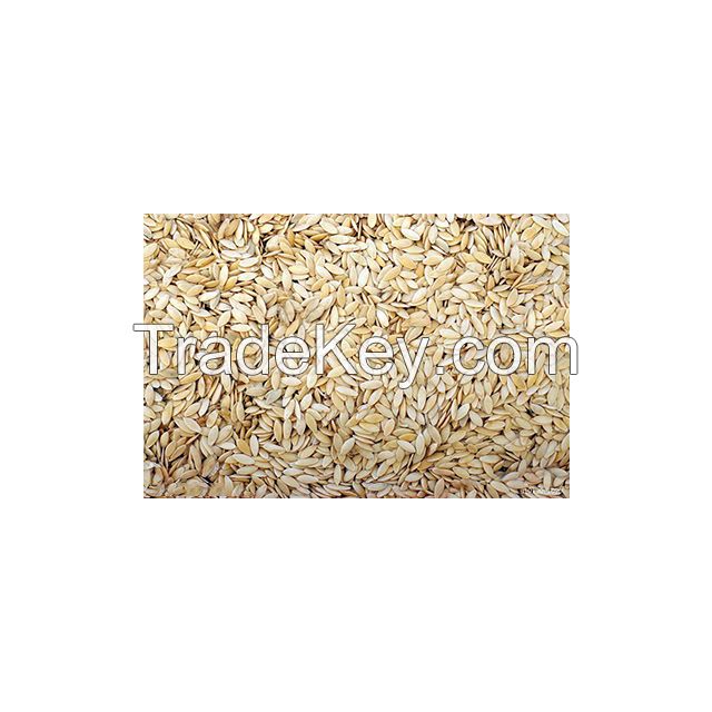 Cucumber Seeds 
