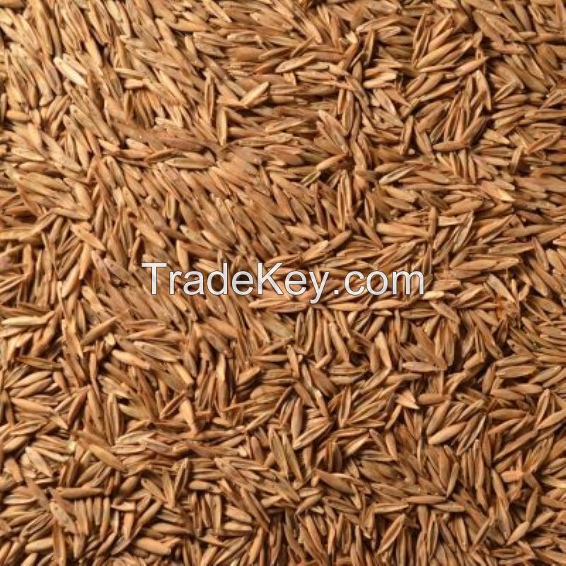 TRITICALE SEEDS 