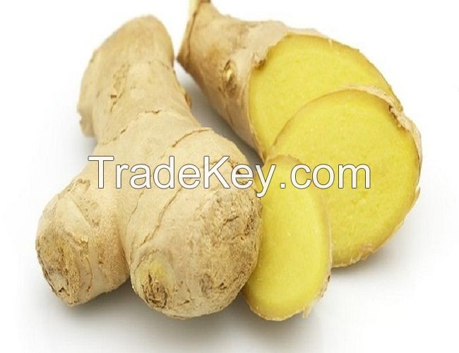 Supplying fresh ginger/ginger price with high quality