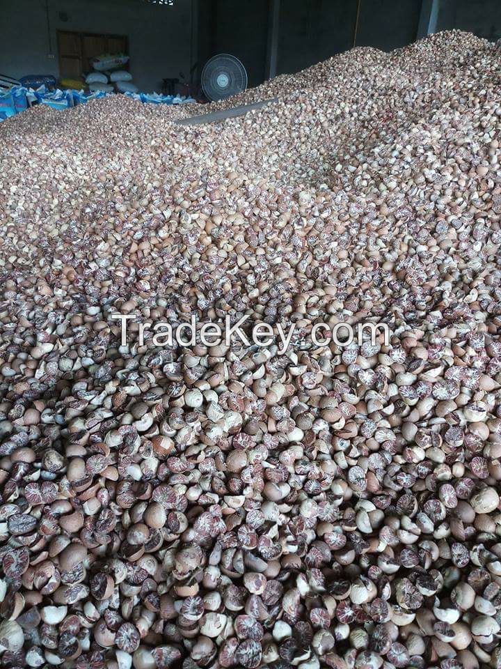 High Quality Betel Nut Dried Whole (80-85%) from Indonesia