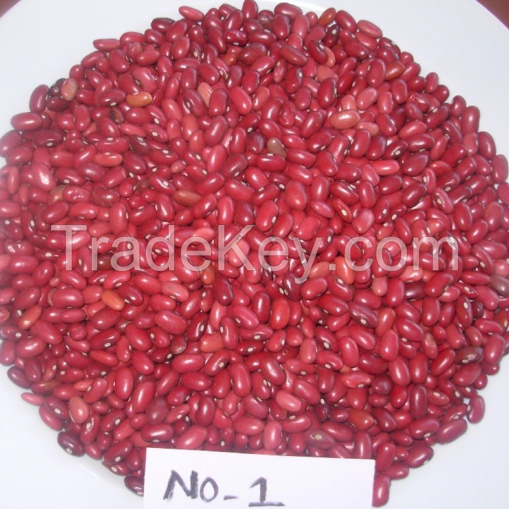 KIDNEY BEANS WITH COMPETITIVE PRICES 