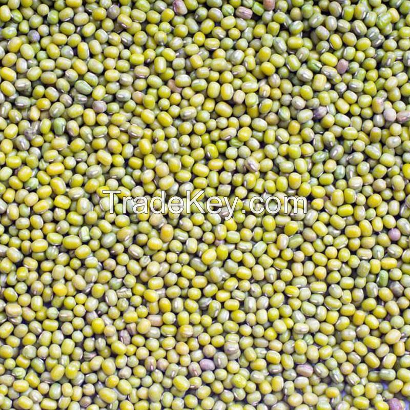 100% Mature Canadian Red Lentils / Green Lentils for sale