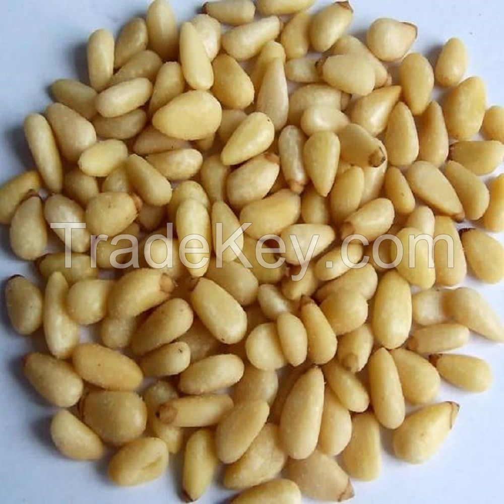 Pine Nuts, Best Quality Pine Nuts, Top Pine Nuts 