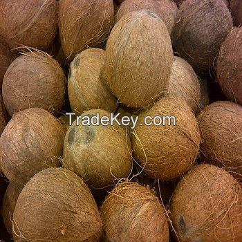 Pure Quality Semi Husked Fresh Coconut (Grade A) 