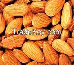 almonds nuts/Apricot Kernels/Pistachio Nuts