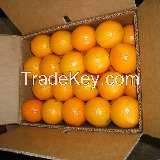 Fresh Valencia Oranges/Fresh Navel Oranges