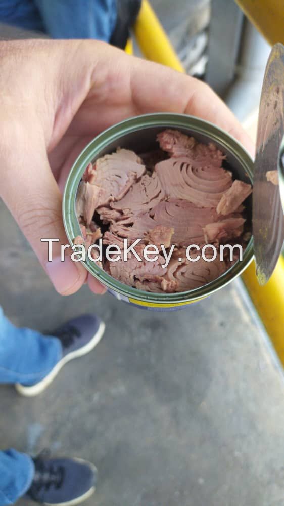 Tuna whole raw, Tuna loins and Tuna canned