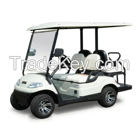 2 passenger cute golf cart with high quality ev conversion kit for car