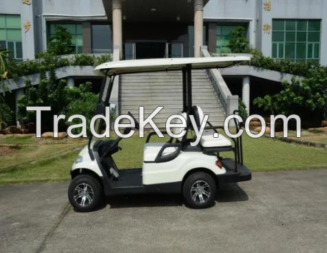 2 passenger cute golf cart with high quality ev conversion kit for car