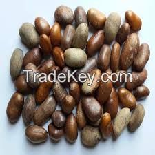 Black Pepper- Uziza seeds (Piper guineense)