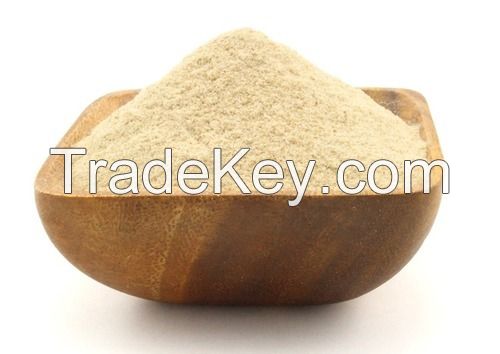 Xanthan Gum CAS NO.11138-66-2