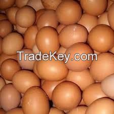 Fresh chicken brown and white eggs