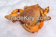 Live and frozen crabs