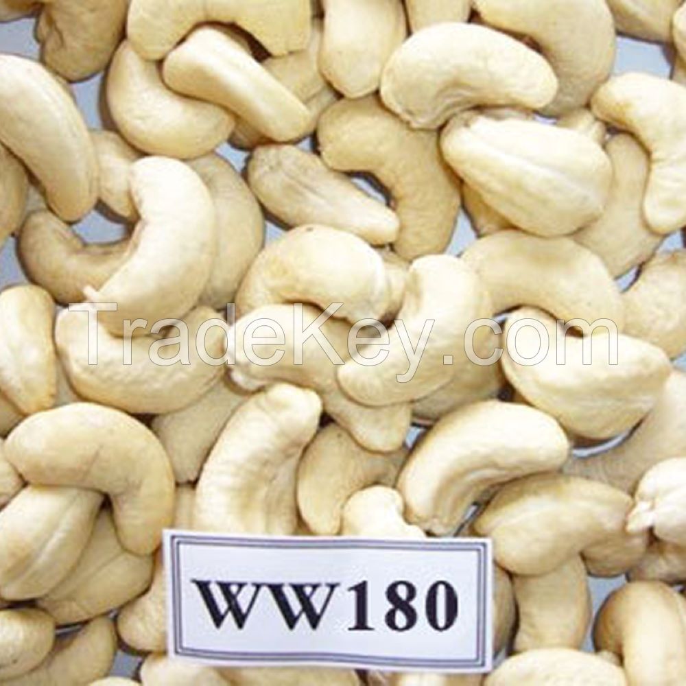 Cashew nut for wholesale Whole White Cashew Kernel ww180