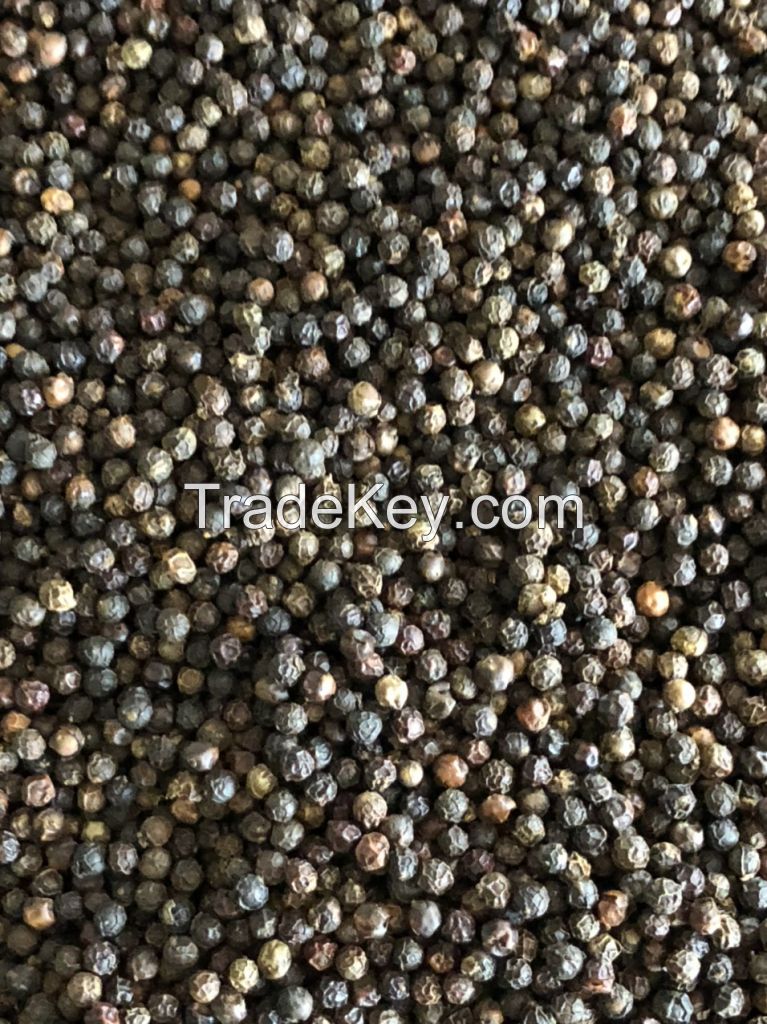 Black Pepper - FAQ/Clean - 2021 crop - Vietnam origin