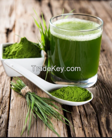 Kale powder