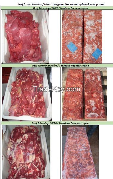 Frozen Beef Meat in Blocks 